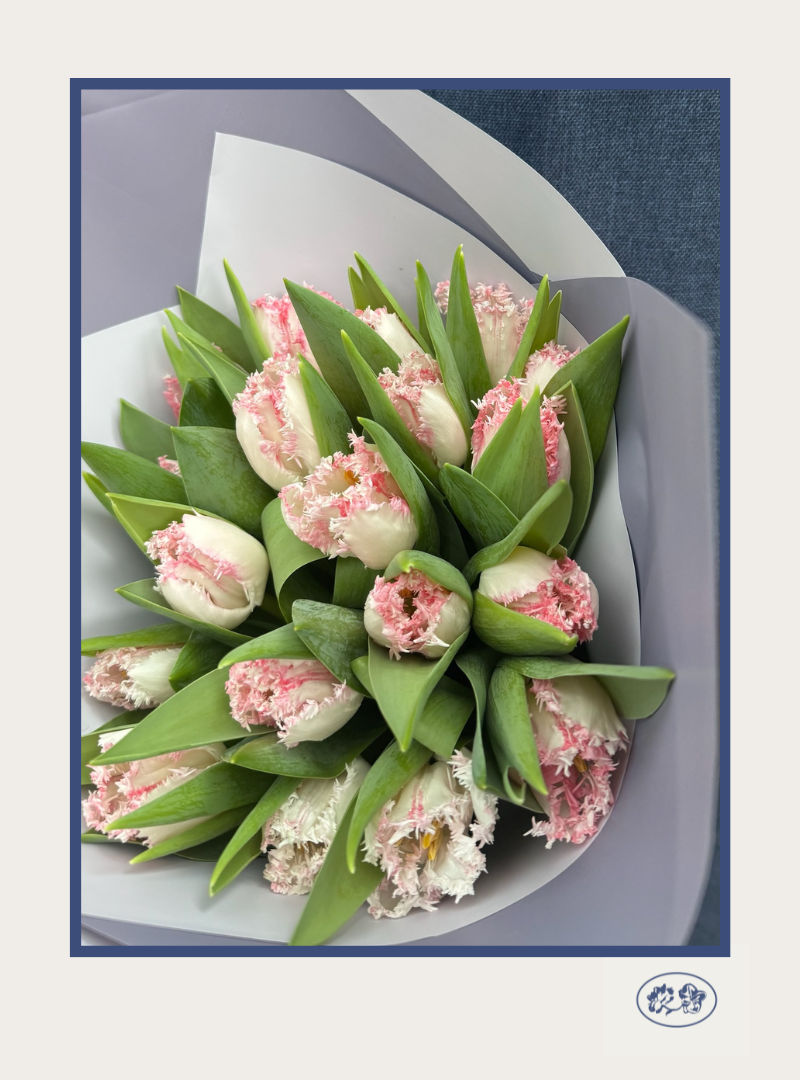 Tulipanes Sofía